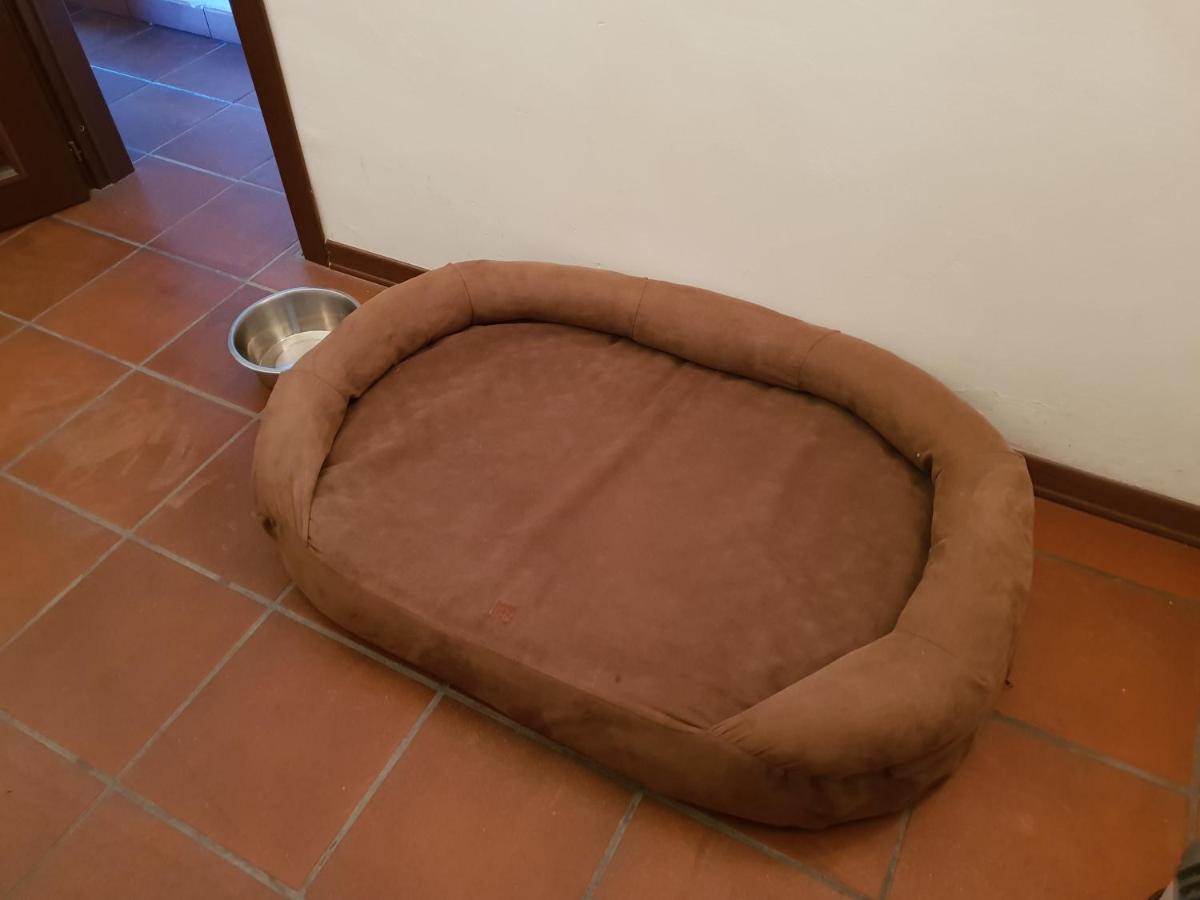 Appartamento Rialto טרמינילו מראה חיצוני תמונה